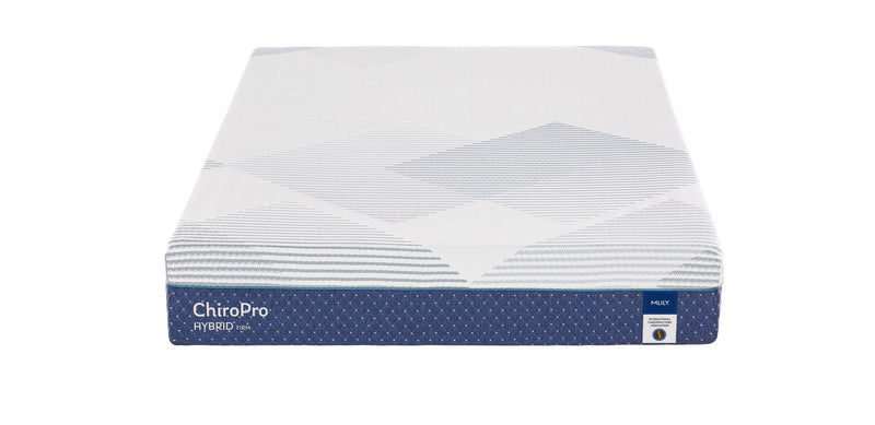 ChiroPro Hybrid Plush